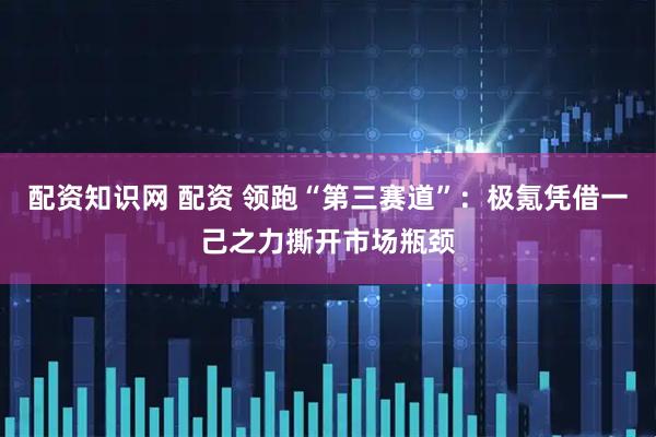配资知识网 配资 领跑“第三赛道”:极氪凭借一己之力撕开市场瓶颈