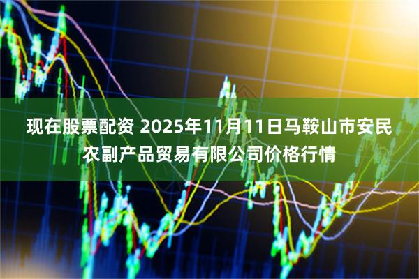 现在股票配资 2025年11月11日马鞍山市安民农副产品贸易有限公司价格行情